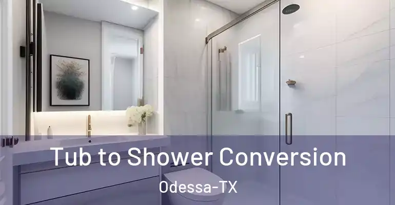 inner Bathroom imggen Tub to Shower Conversion Odessa-TX
