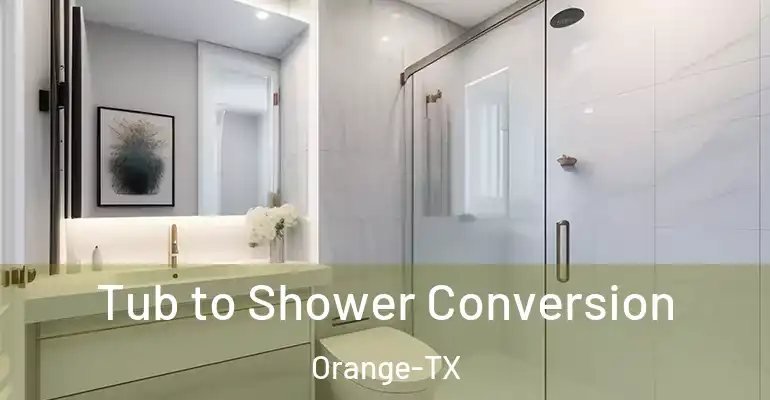 inner Bathroom imggen Tub to Shower Conversion Orange-TX