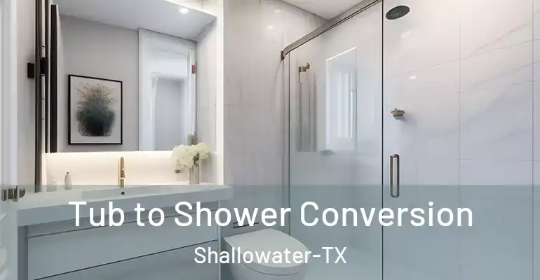 inner Bathroom imggen Tub to Shower Conversion Shallowater-TX