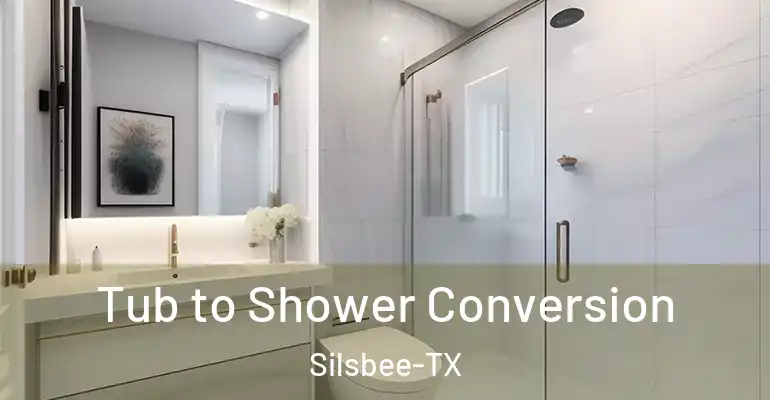 inner Bathroom imggen Tub to Shower Conversion Silsbee-TX