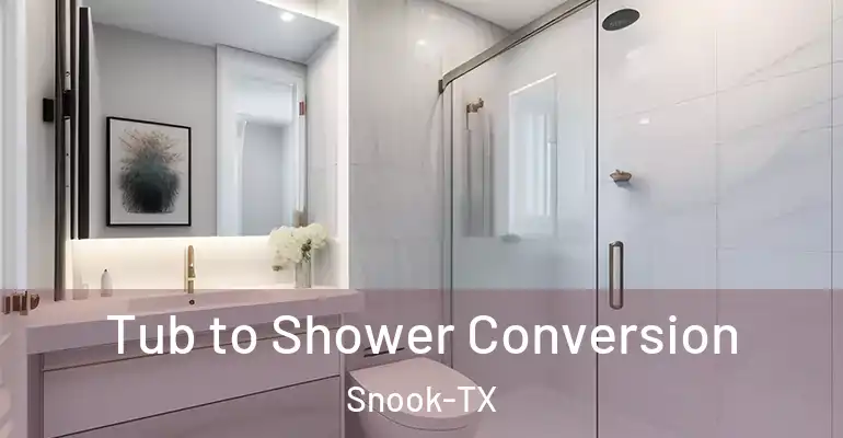 inner Bathroom imggen Tub to Shower Conversion Snook-TX