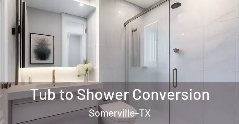 inner Bathroom imggen Tub to Shower Conversion Somerville-TX