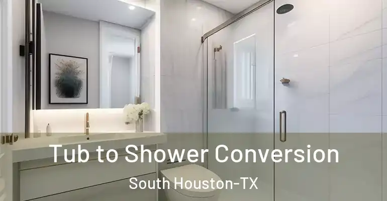 inner Bathroom imggen Tub to Shower Conversion South Houston-TX