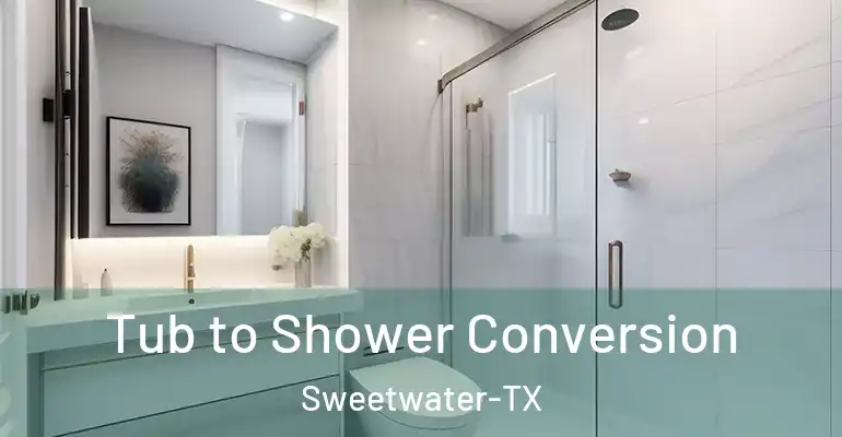 inner Bathroom imggen Tub to Shower Conversion Sweetwater-TX