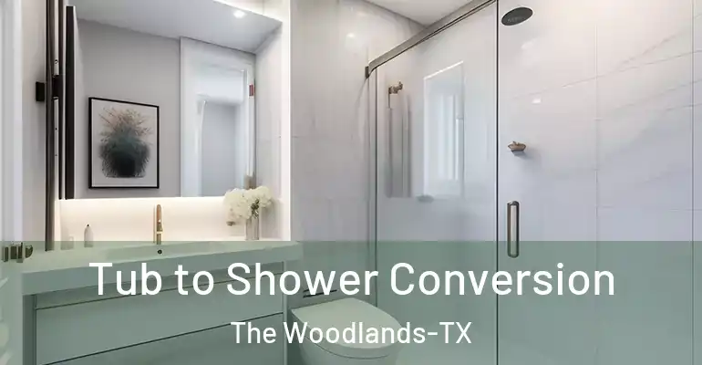 inner Bathroom imggen Tub to Shower Conversion The Woodlands-TX