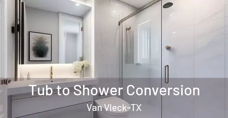 inner Bathroom imggen Tub to Shower Conversion Van Vleck-TX