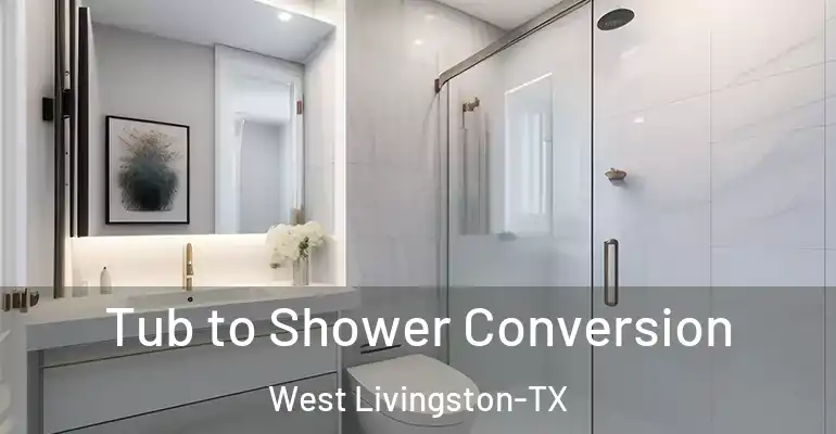 inner Bathroom imggen Tub to Shower Conversion West Livingston-TX