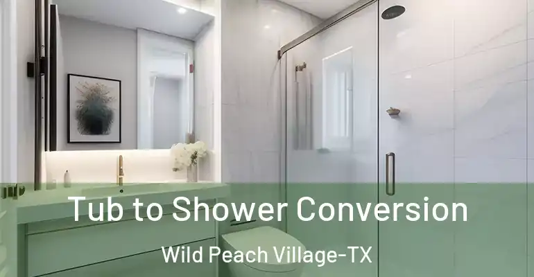 inner Bathroom imggen Tub to Shower Conversion Wild Peach Village-TX