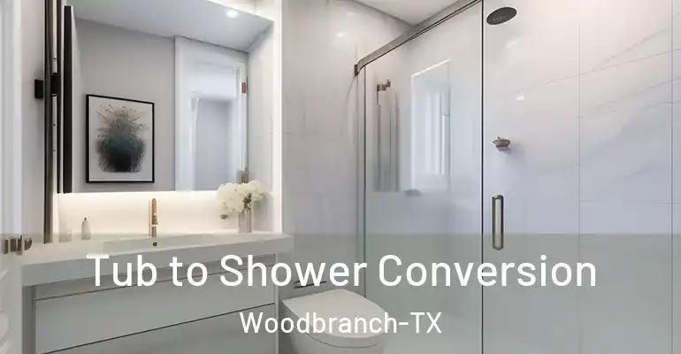 inner Bathroom imggen Tub to Shower Conversion Woodbranch-TX
