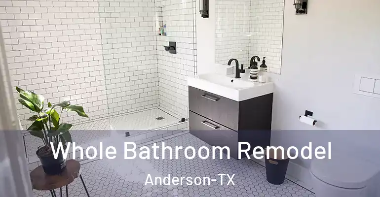 inner Bathroom imggen Whole Bathroom Remodel Anderson-TX