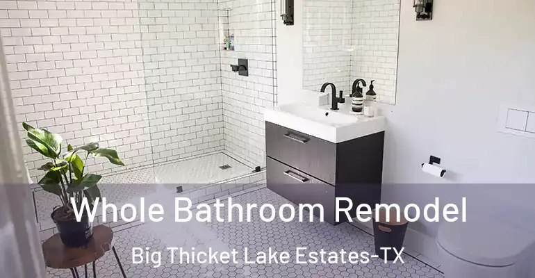 inner Bathroom imggen Whole Bathroom Remodel Big Thicket Lake Estates-TX