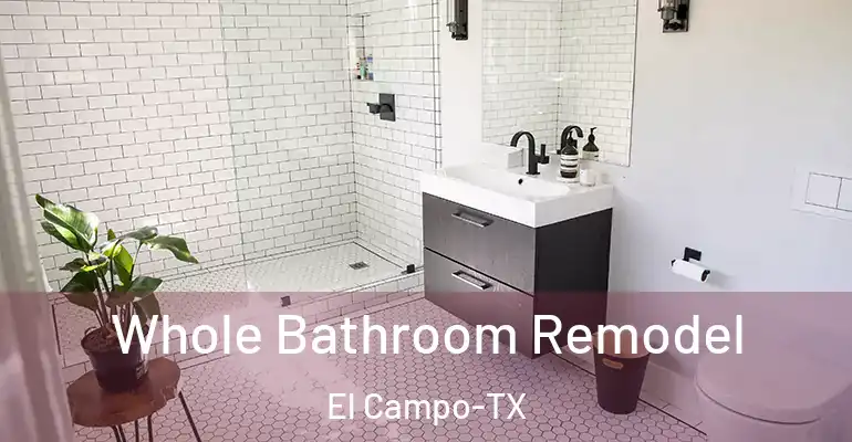 inner Bathroom imggen Whole Bathroom Remodel El Campo-TX