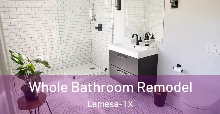 inner Bathroom imggen Whole Bathroom Remodel Lamesa-TX