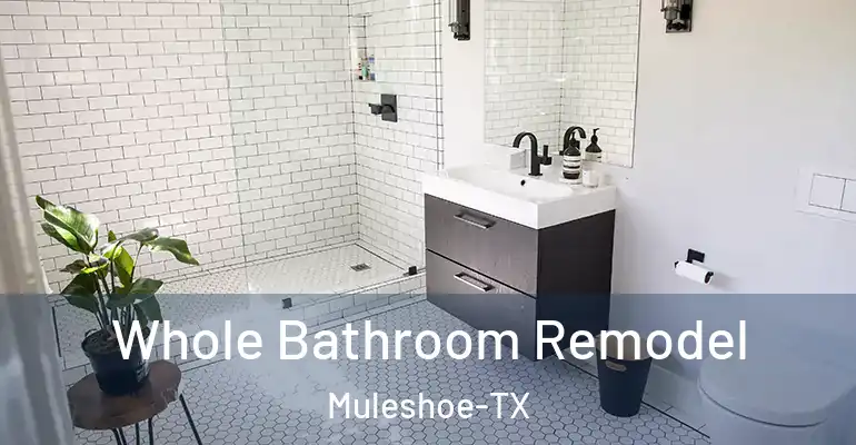 inner Bathroom imggen Whole Bathroom Remodel Muleshoe-TX