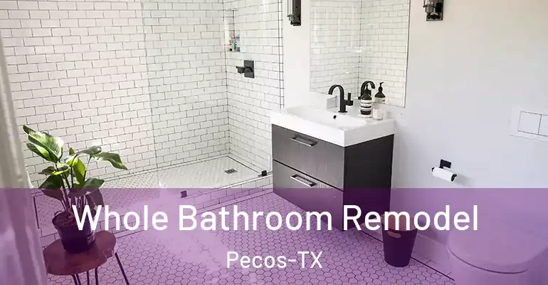 inner Bathroom imggen Whole Bathroom Remodel Pecos-TX