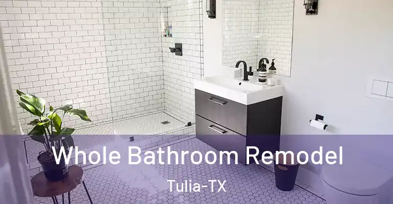 inner Bathroom imggen Whole Bathroom Remodel Tulia-TX